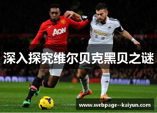 深入探究维尔贝克黑贝之谜 深入探究维尔贝克黑贝之谜