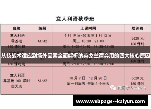 从技战术适应到场外因素全面解析纳英戈兰遭弃用的四大核心原因